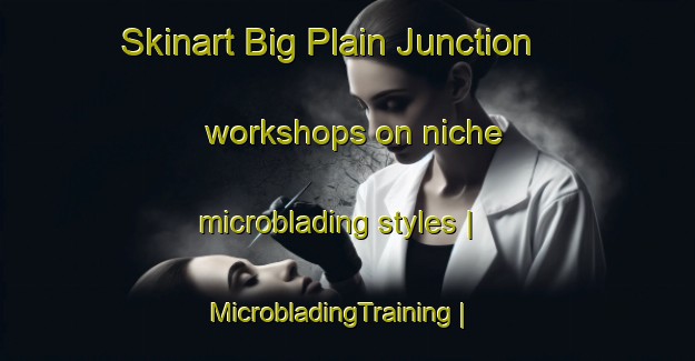Skinart Big Plain Junction workshops on niche microblading styles | MicrobladingTraining | MicrobladingClasses | SkinartTraining-United States